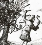 Story in Images 2